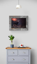 Load image into Gallery viewer, Early Morning Moose Limited Edition Print
