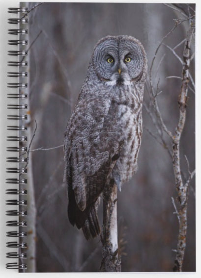Through the Trees - Fine Art Wildlife Photography Notebook
