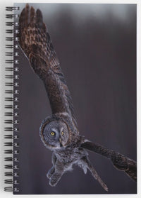 The Turn - Fine Art Wildlife Photography Notebook - Donna Feledichuk Wildlife Photography