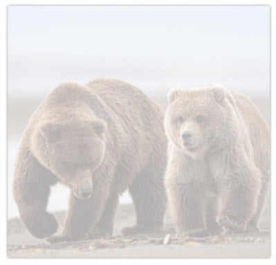 Family - Fine Art Wildlife Photography Post-it Notes