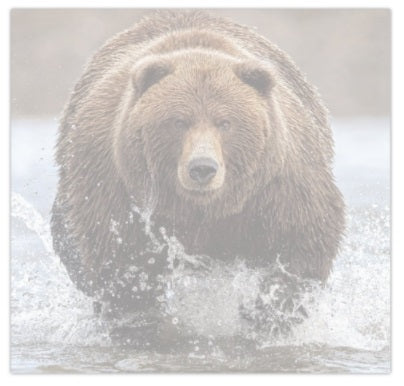 Get it Done - Fine Art Wildlife Photography Post-it Notes - Donna Feledichuk Wildlife Photography